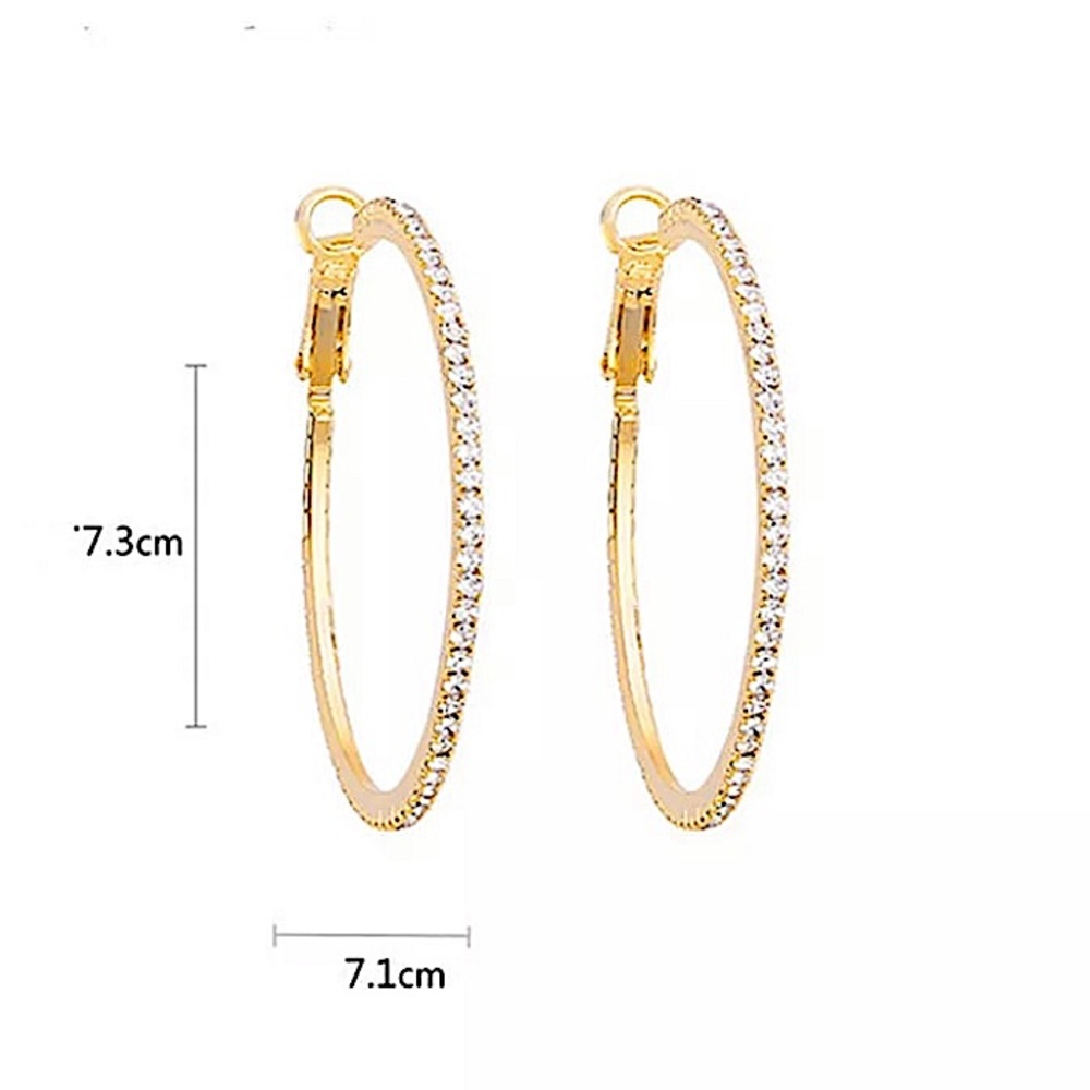 SILVER RHINESTONE HOOP EARRINGS - Picture 6 of 8
